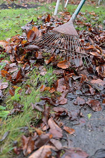 Tidying Up The Garden